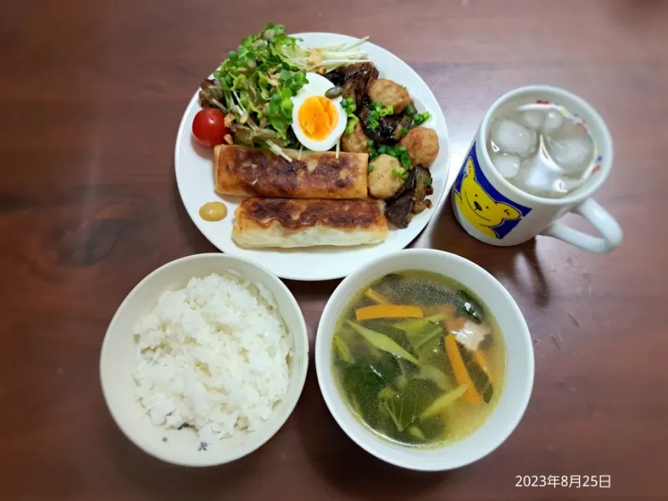 2023年8月25日の晩ご飯
春巻き
茄子と肉団子の照り焼き
野菜サラダ
ベーコンと野菜のスープ
焼酎水割り|ソラ♂のご飯さん