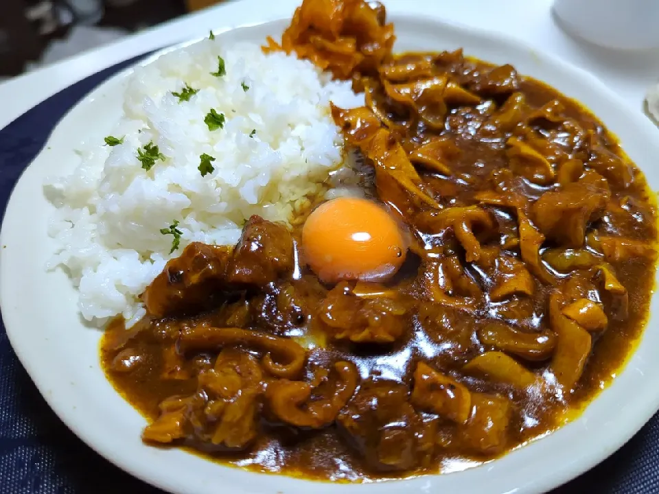 牛すじカレー|河zooさん