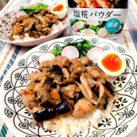 鶏もも肉とナスの甘辛のっけ丼