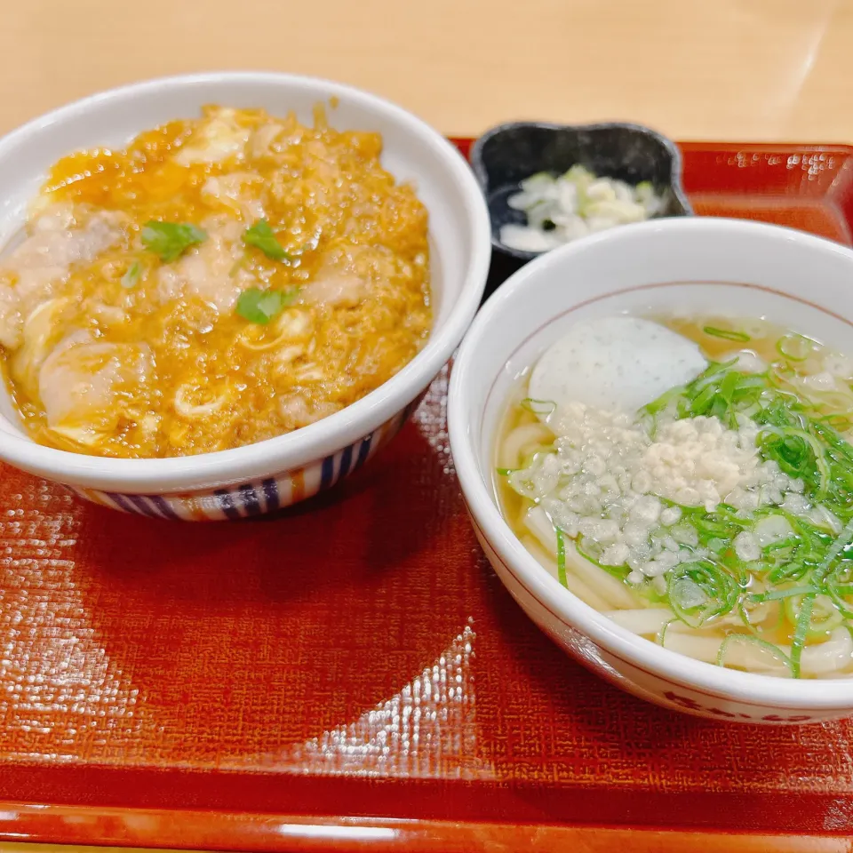 晩ご飯|まめさん