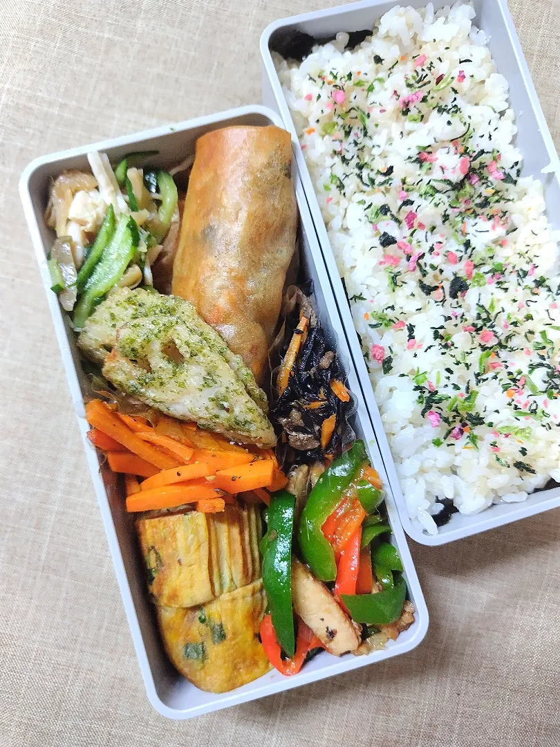 今日のお弁当|めしだママさん