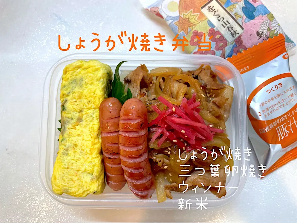 生姜焼き弁当|tomorincoさん