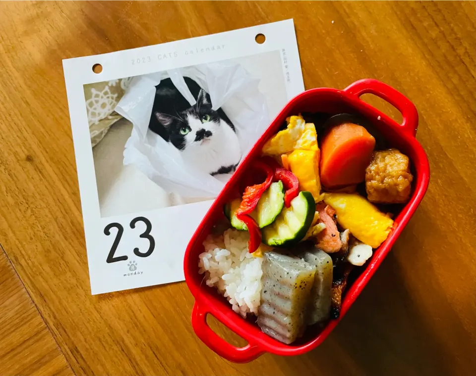 Snapdishの料理写真:20231023🍱今日の自分弁当🍱|akiyo22さん