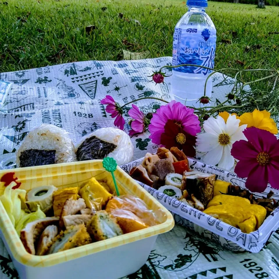 大人遠足〜🍱残り物詰めただけ😁|とまと🍅さん