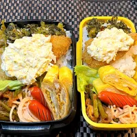 Snapdishの料理写真:白身魚のフライ高菜弁当|いくさん