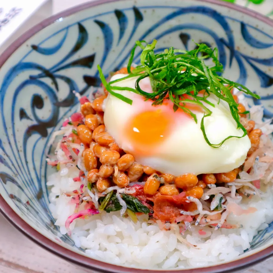 梅ちりめん納豆丼|まゆさん