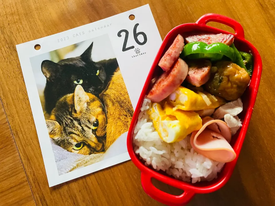 20231026🍱今日の自分弁当🍱|akiyo22さん