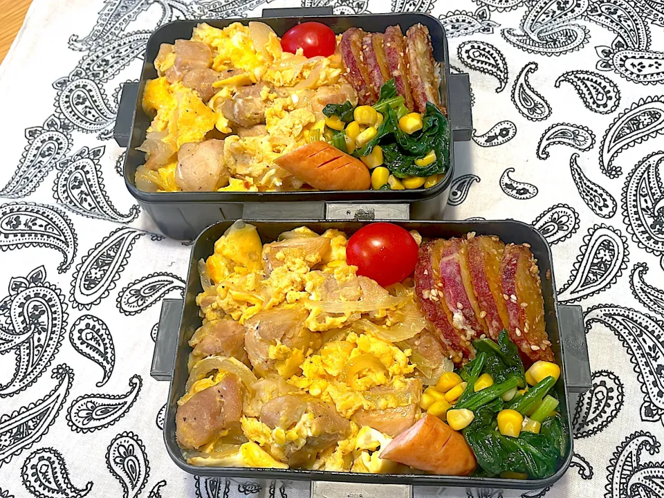 Snapdishの料理写真:親子丼弁当|hiro♪kouさん