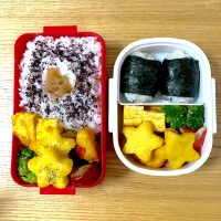 Snapdishの料理写真:ムスコの遠足弁当|むさけんさん