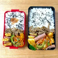 Snapdishの料理写真:夫婦のお弁当|むさけんさん