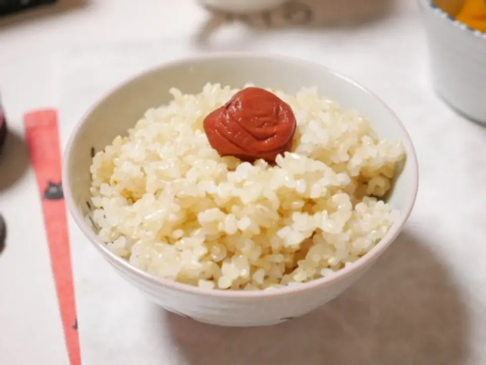 土鍋で炊いた玄米ごはんと梅干し🎉✨
これだけで最高のごちそう💕🍀
噛めば噛むほど旨味が出てきて
激ウマ✨|深夜特急fさん