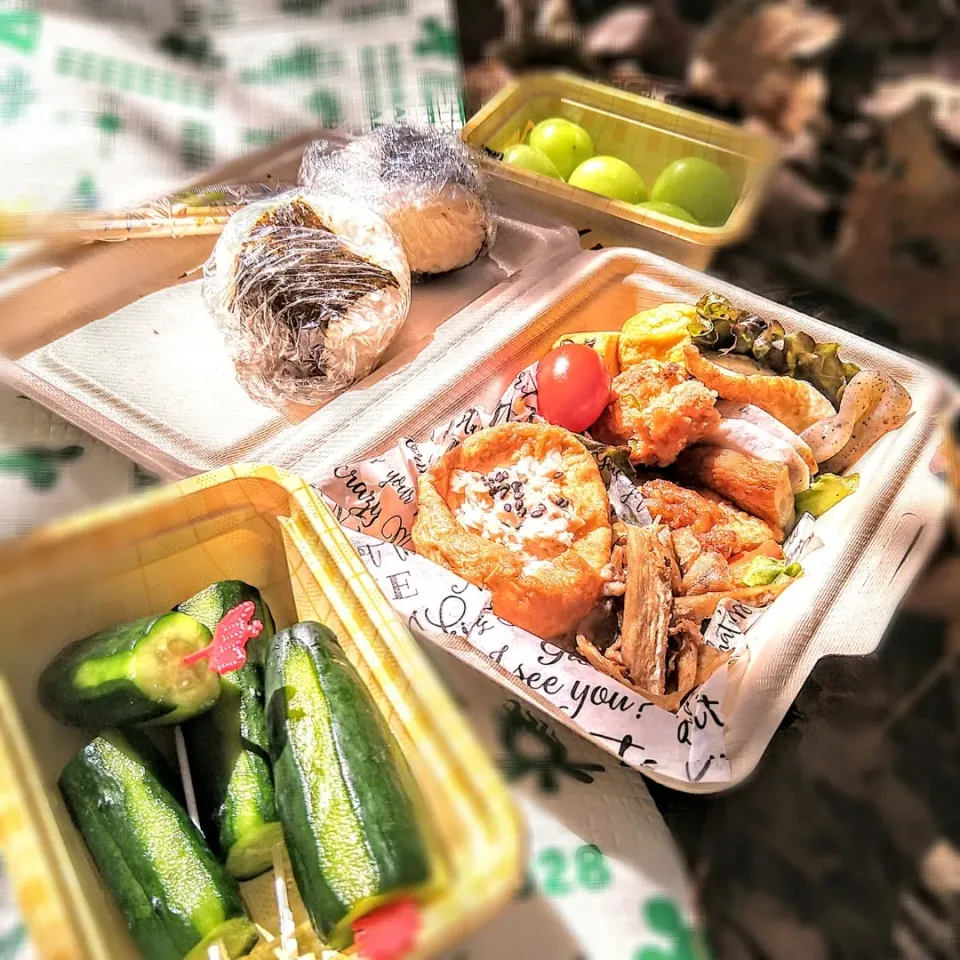 塩糀パウダーdeきゅうりの一本漬け〜登山弁当🍱🥒🍙|とまと🍅さん