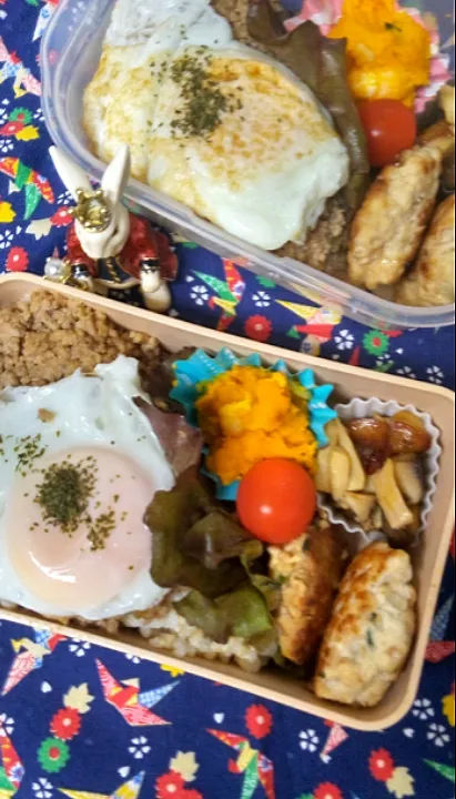 '23．10/28
本日のお弁当🍱|たえさん