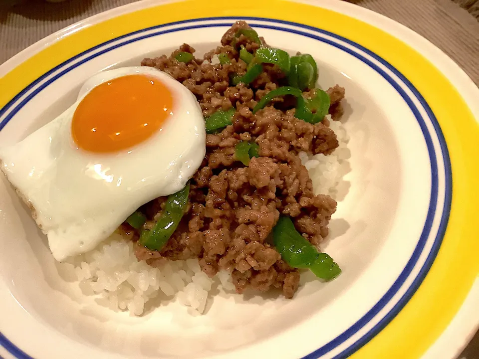 タイで🇹🇭買って来たガパオライスの素を使ってみた😋|アライさんさん