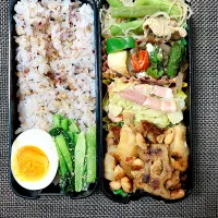 Snapdishの料理写真:お弁当|sabamisoさん