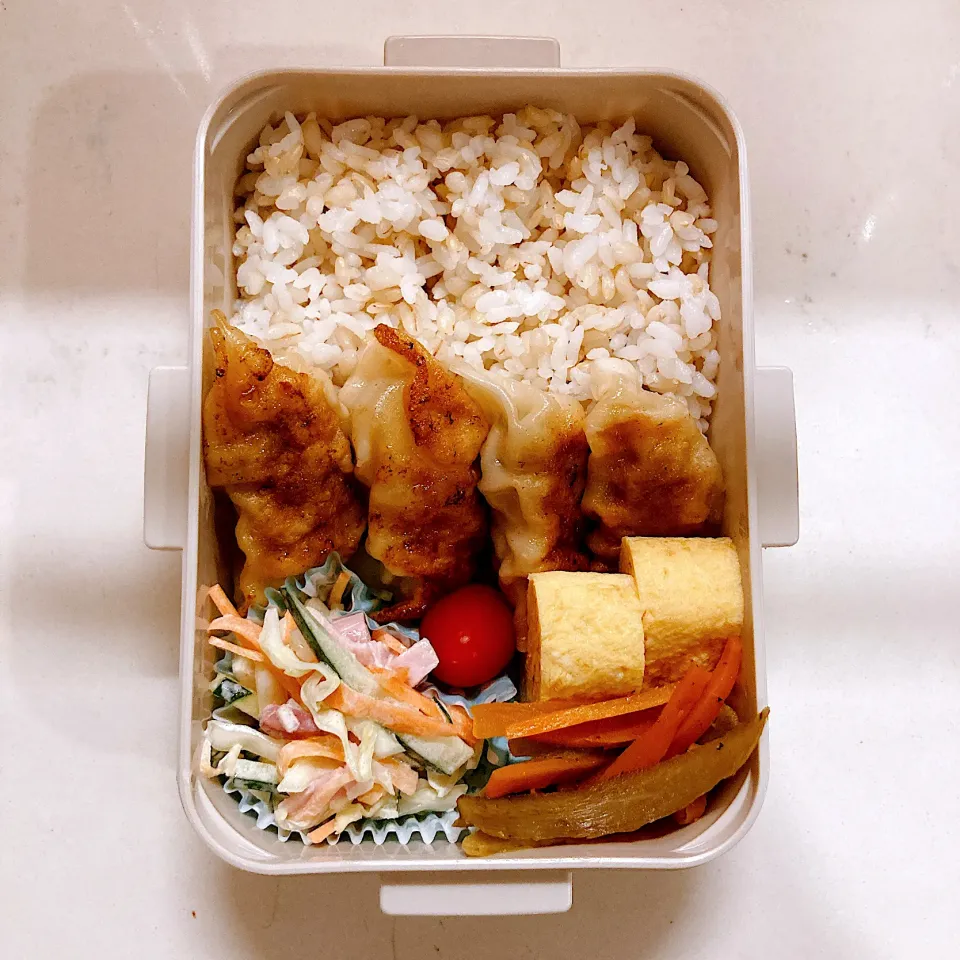 餃子弁当🥟|かめぱんさん