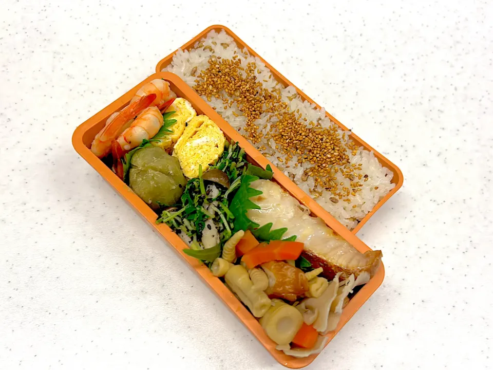 Snapdishの料理写真:油不使用でお弁当🍱　だし巻き卵　カンパチ塩麹焼　海老旨煮　さつまいも茶巾絞り　四方竹煮物　豆苗しめじ胡麻和え|ガメちゃんさん