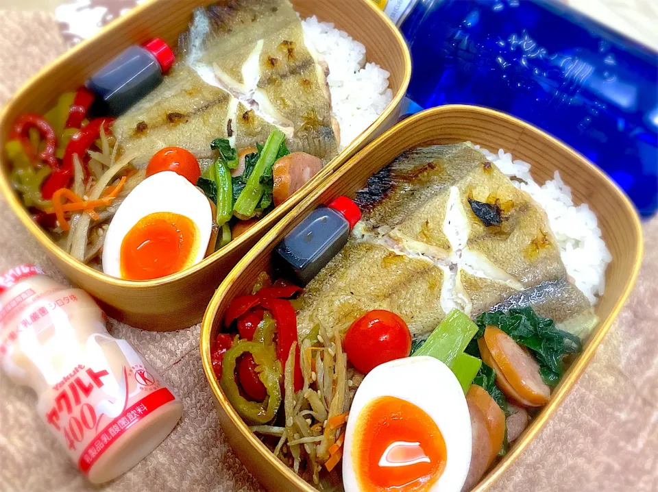 今日の夫婦弁⁽⁽ ◟(灬 ˊωˋ 灬)◞ ⁾⁾💕|桃実さん