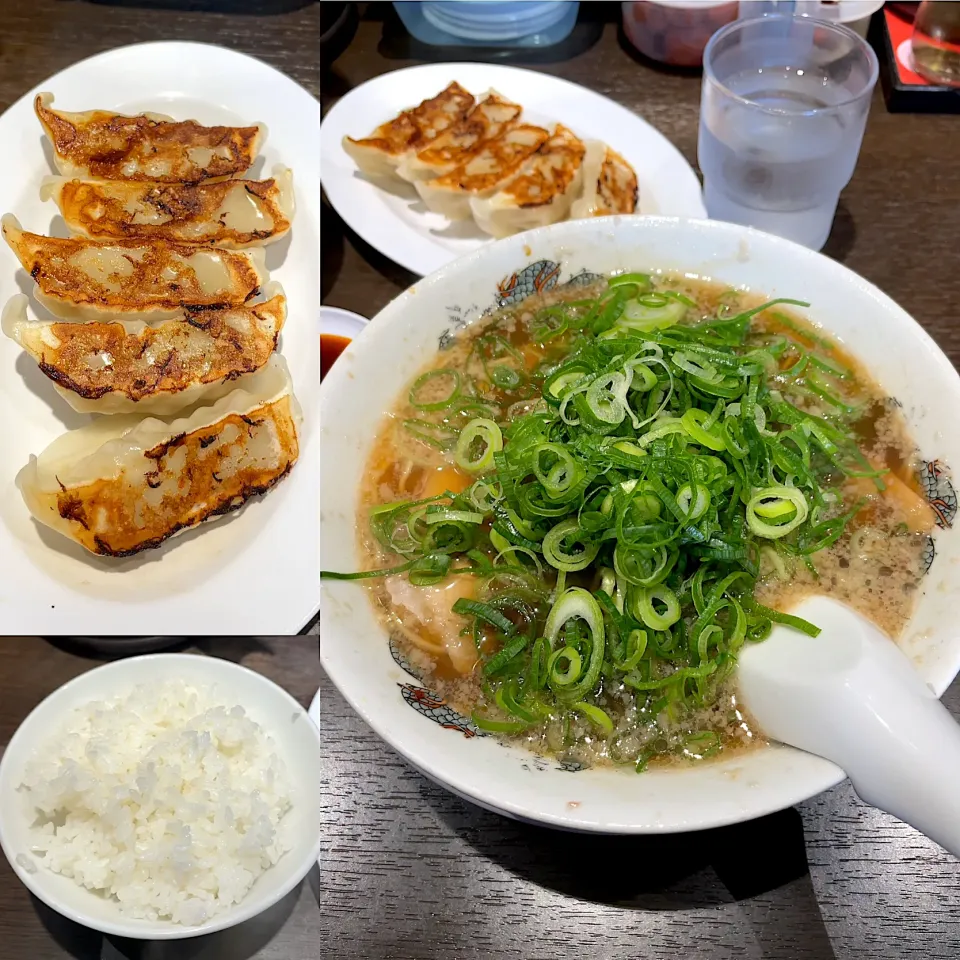 醤油らーめん🍜　餃子🥟|るみおんさん