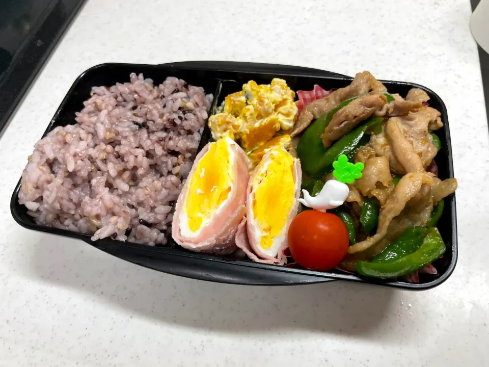 11/6 旦那弁当⁂豚ピーマンの焼き肉弁当|ゆさん