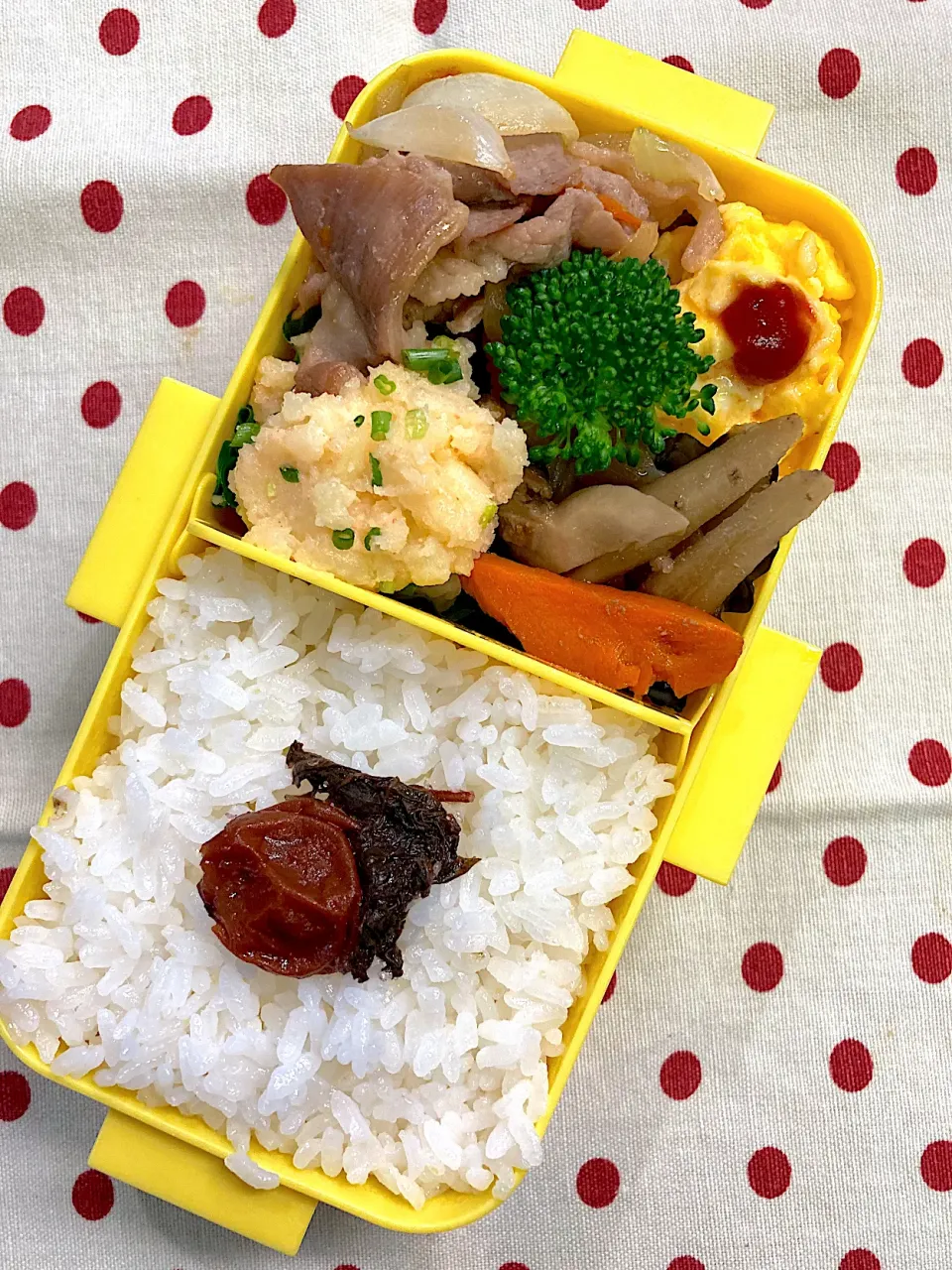 11月7日 今日は晴天☀️ 娘のみの お弁当🍱|sakuramochiさん