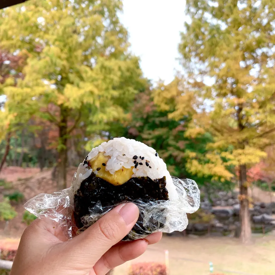 snap dishさんにいただいた、青森のお米「青天の霹靂」を使って栗ご飯おにぎり🍙🌾✨|nacchan♪さん