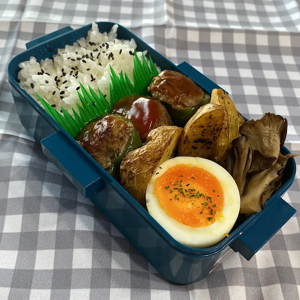 11/8 お弁当|yuusaさん