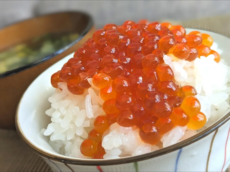 いくらご飯🍚|しあるさん