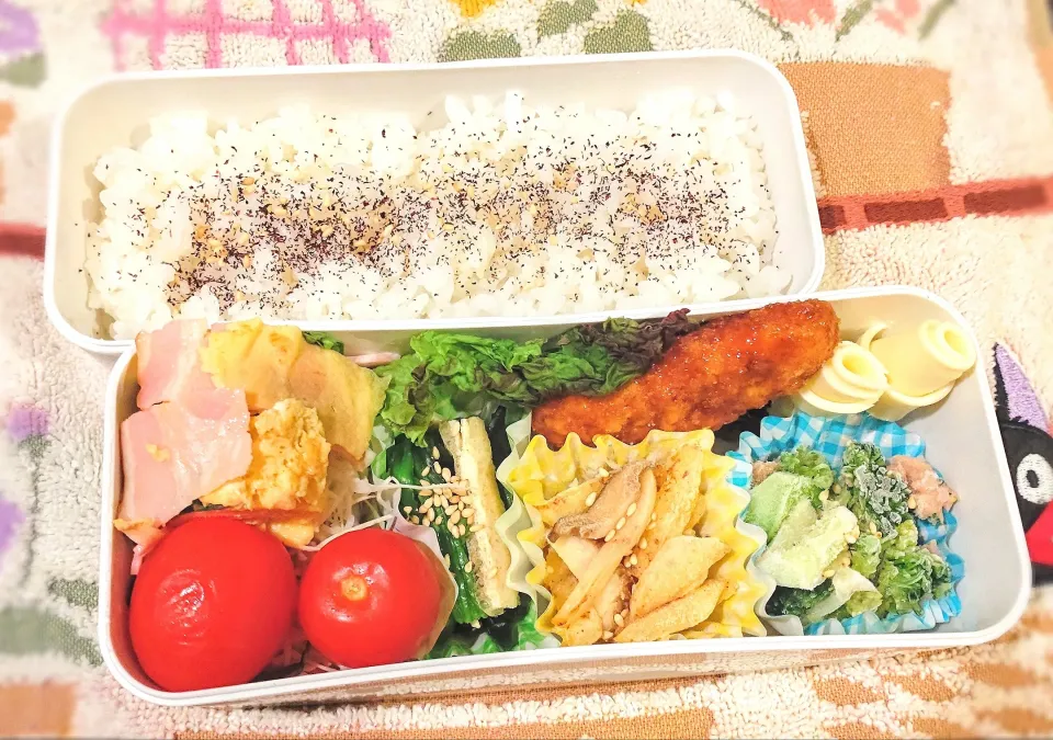 11月9日 今日のお弁当|ビアンカさん