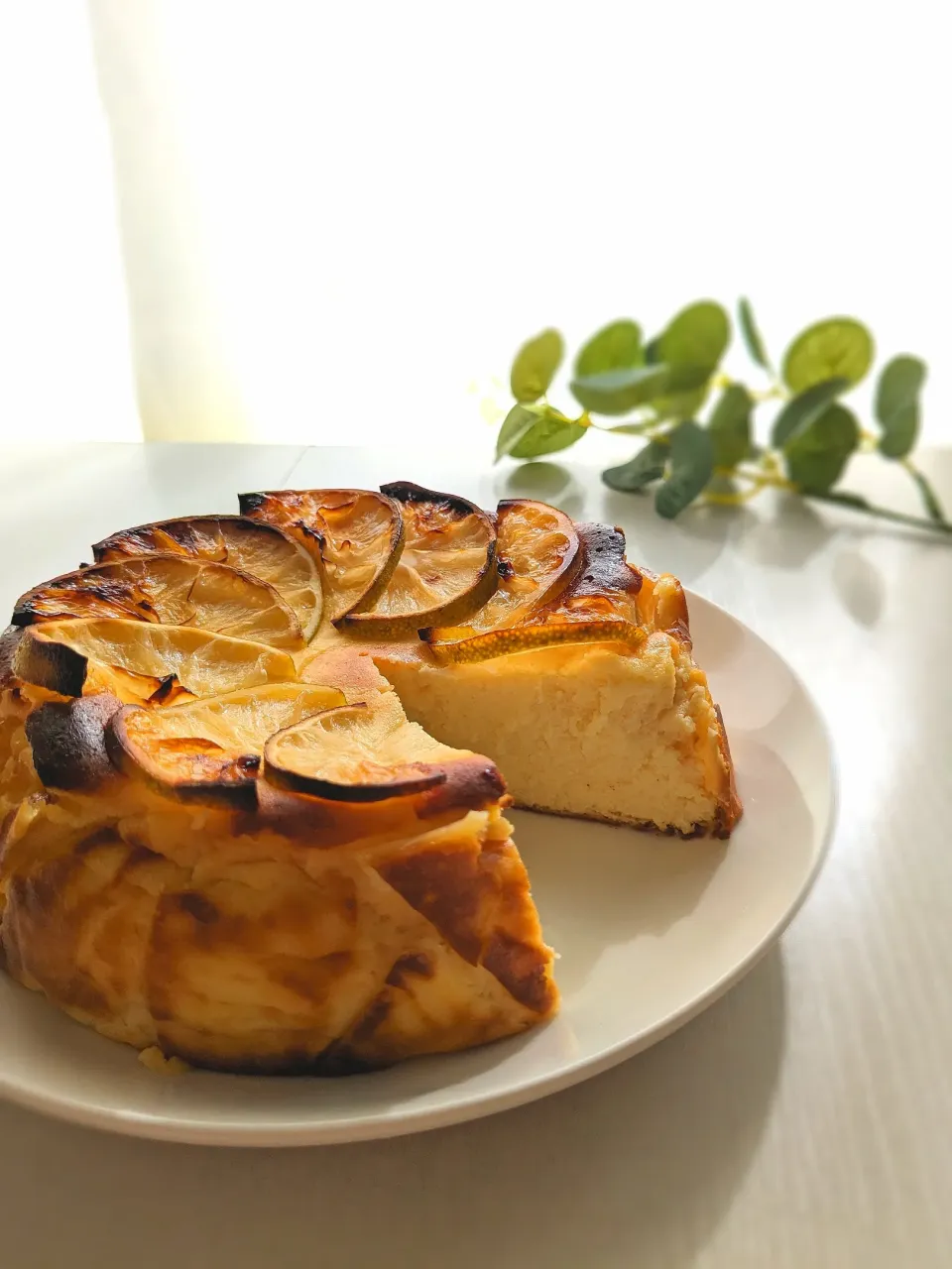 Snapdishの料理写真:レモンチーズケーキ🍋|きなこもちさん