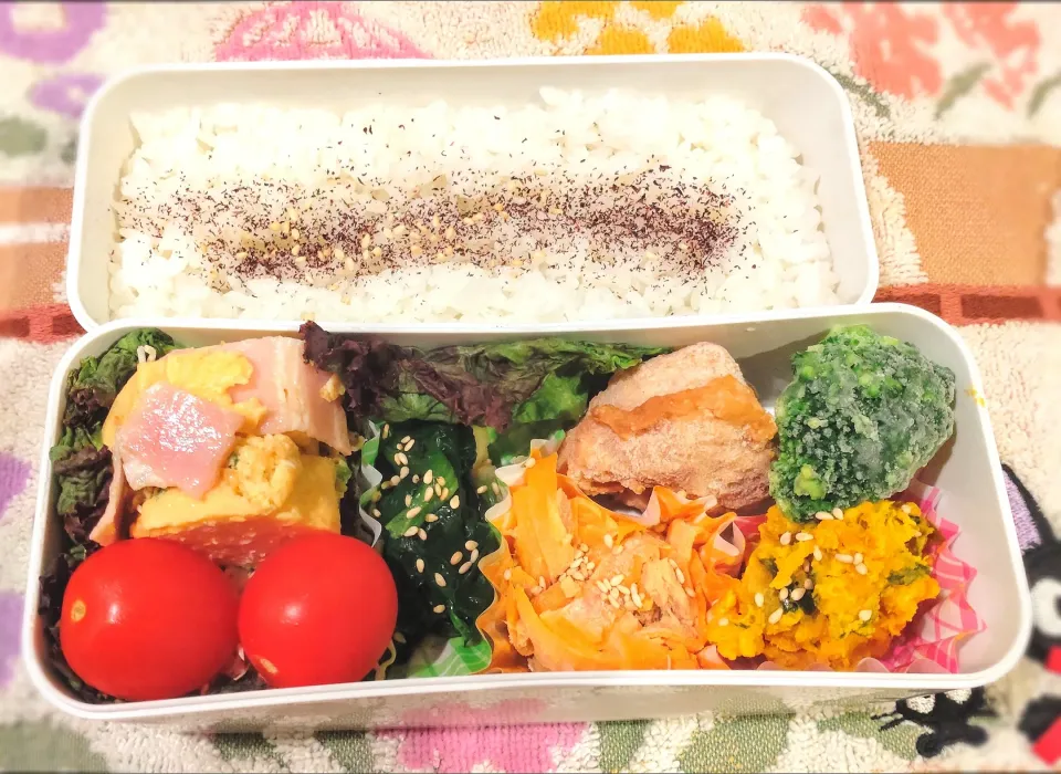 11月10日 今日のお弁当|ビアンカさん