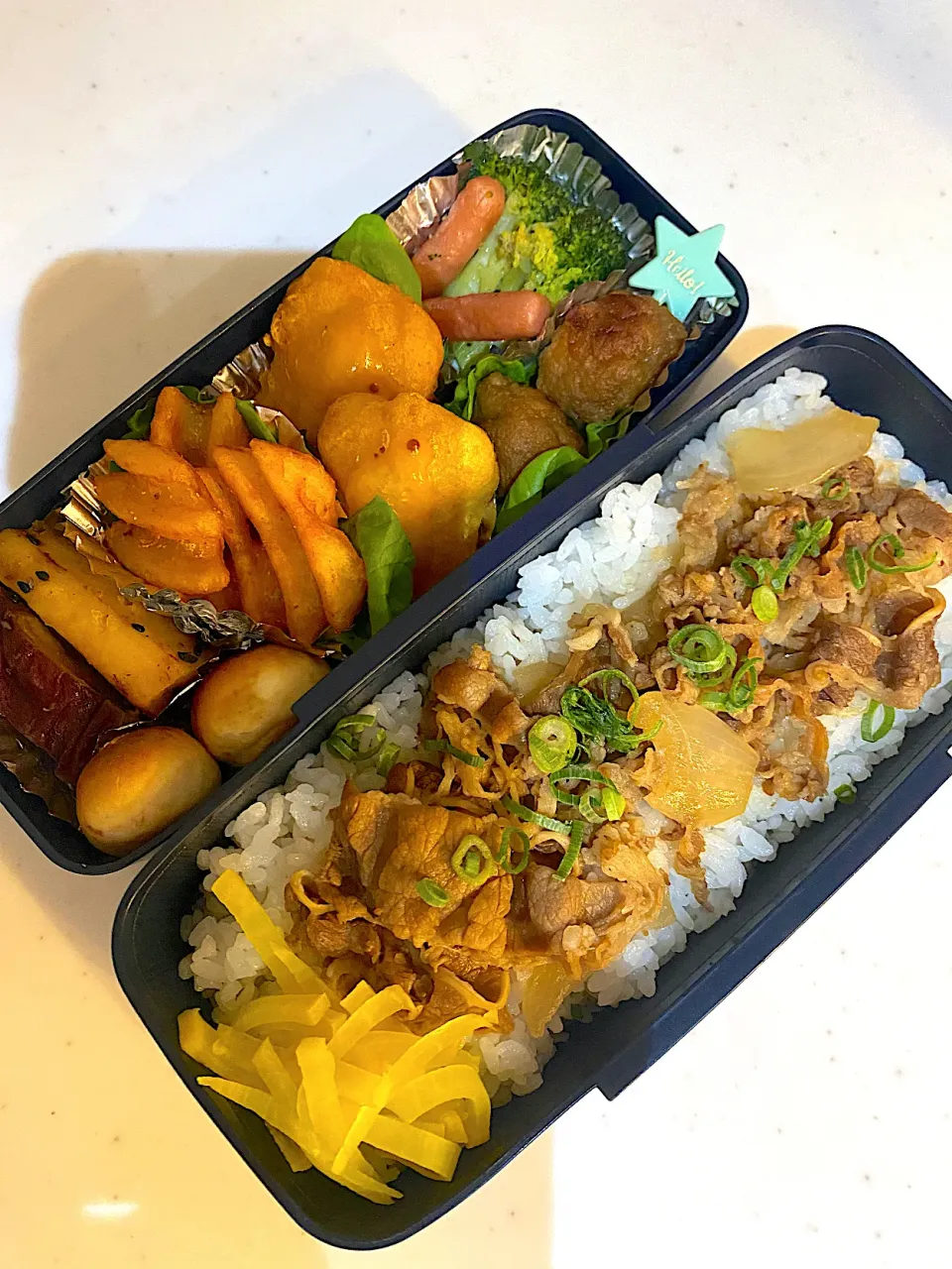 今日のお弁当🍱茶色🤎|Chikaーーさん