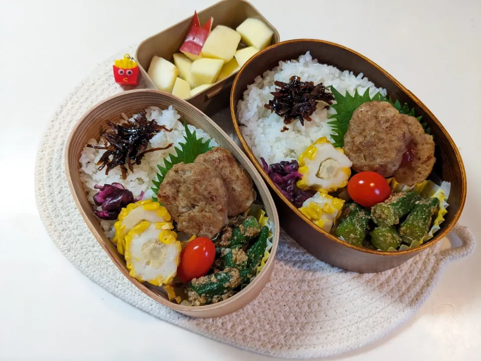 Snapdishの料理写真:お弁当2023.11.9㈭
ハンバーグ弁当|azubowさん