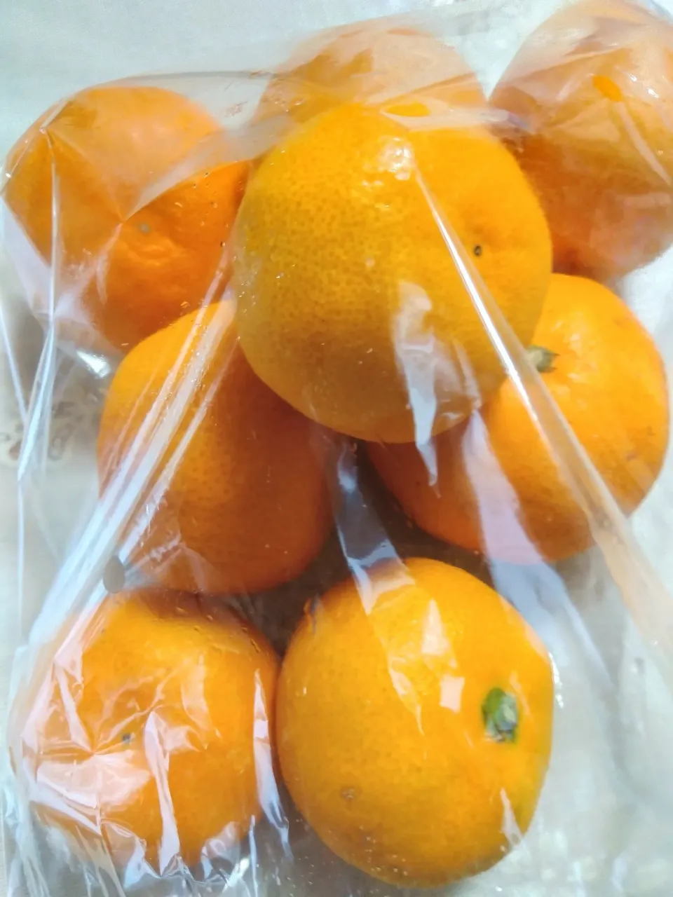 生協購入の、愛媛産濱野農園グループ
瀬戸内みかん🍊
早速食べ美味しかった😄♥️|m.rafuさん