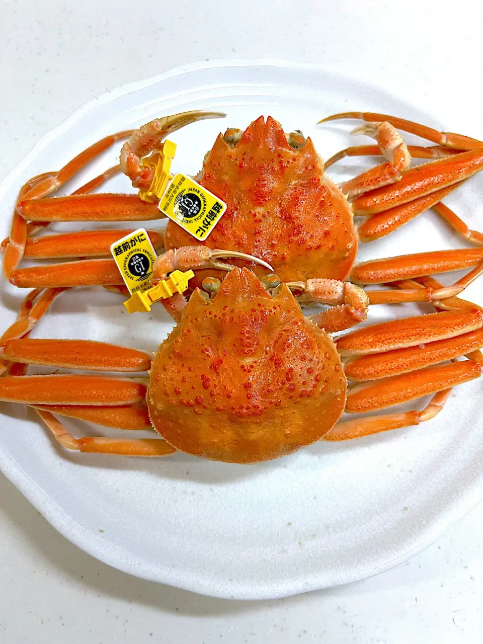 Snapdishの料理写真:越前カニ🦀　メス🦀せい甲カニ|ヒロミ🏝🏝🏝🌺🏄🌊🐬🏄‍♀️🏄‍♂️🍹🐠👙🌺さん