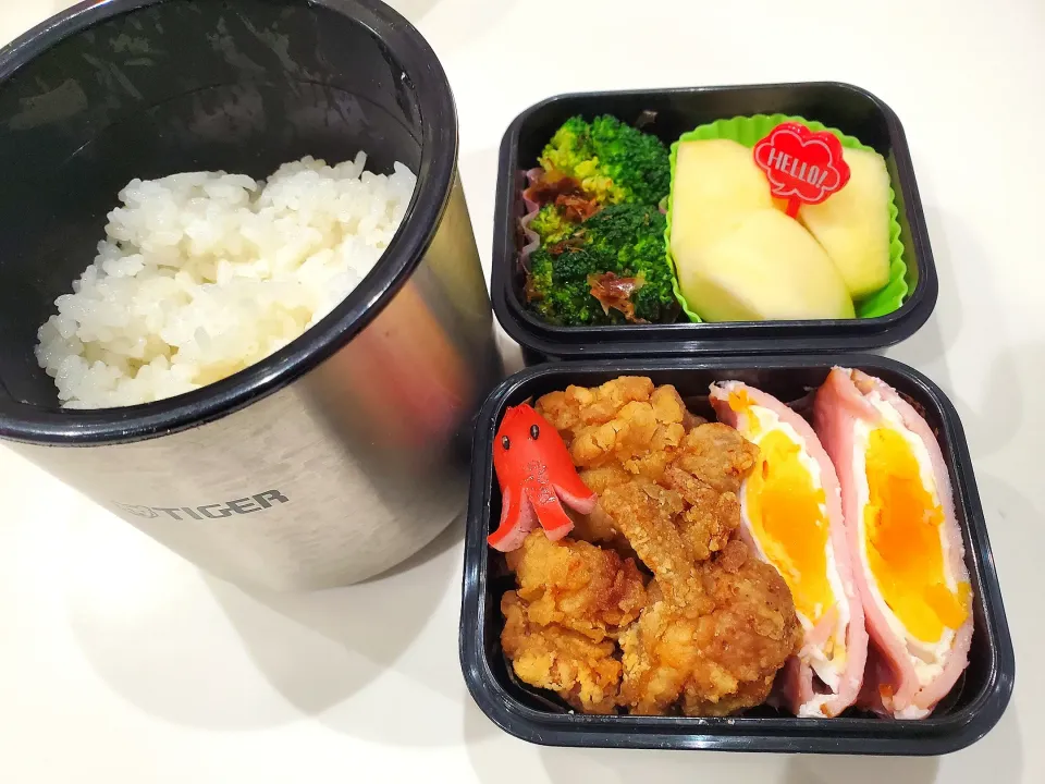 小学生男子弁当🍱|さーりさん