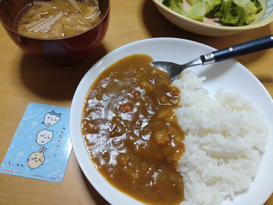 お昼ごはん|しまだ ちえこさん