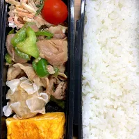 豚ピーマン炒め、シュウマイ、ゴボウサラダ|甚吾朗さん