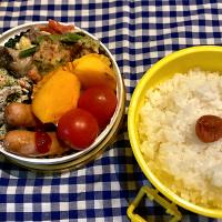 中学男子お弁当