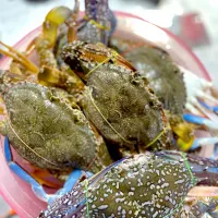 Snapdishの料理写真:[Crabs 001]|Choeunさん