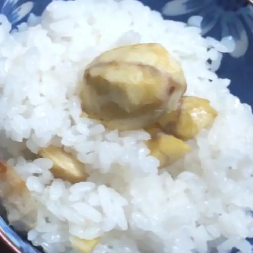 青天の霹靂で
栗ごはん🌰|たつかばさん