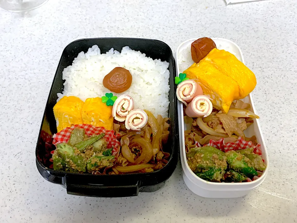 2023年11月14日お弁当🍱|もぐぷーさん