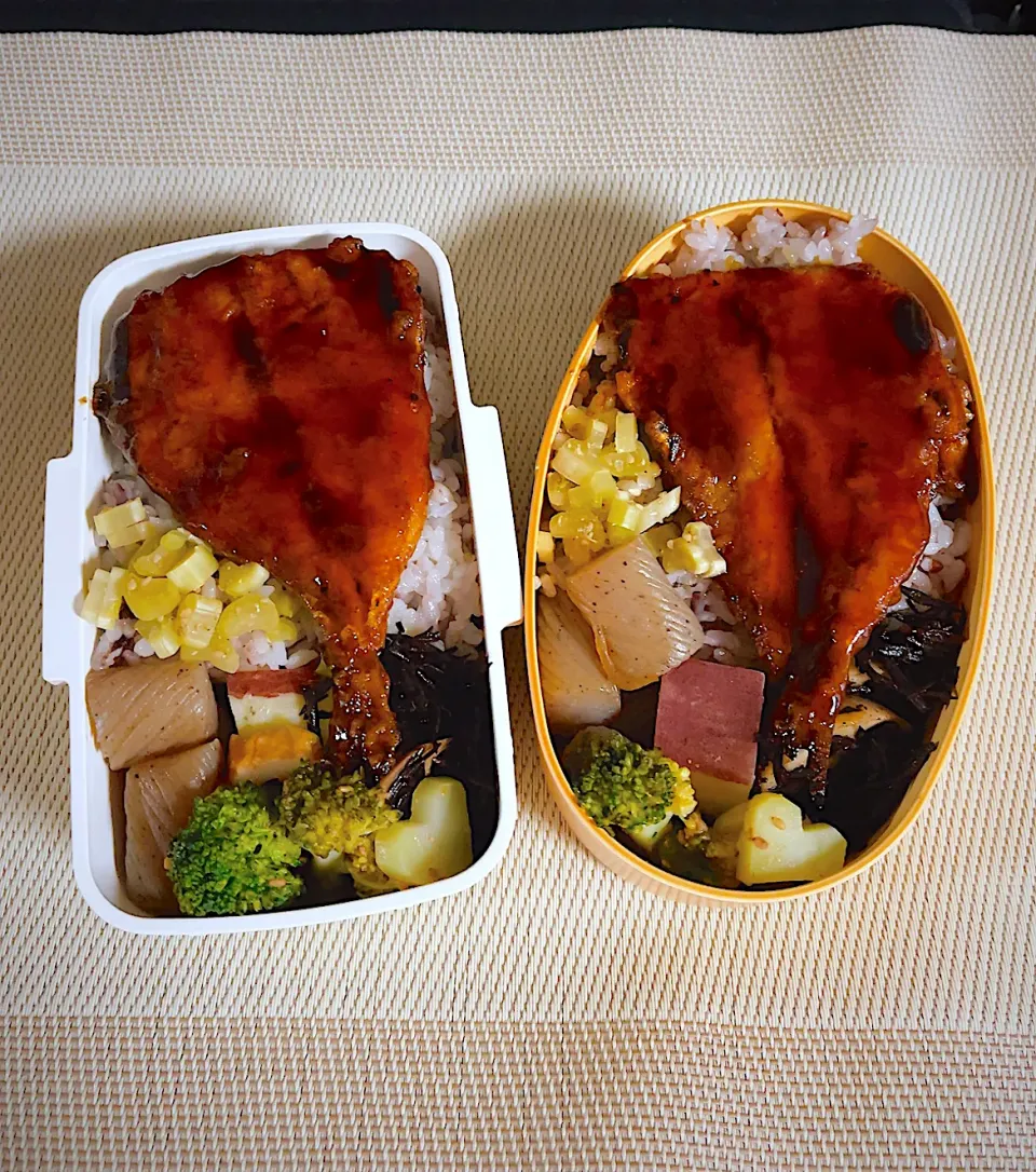 Snapdishの料理写真:2023.11.13  お弁当|もっさんさん