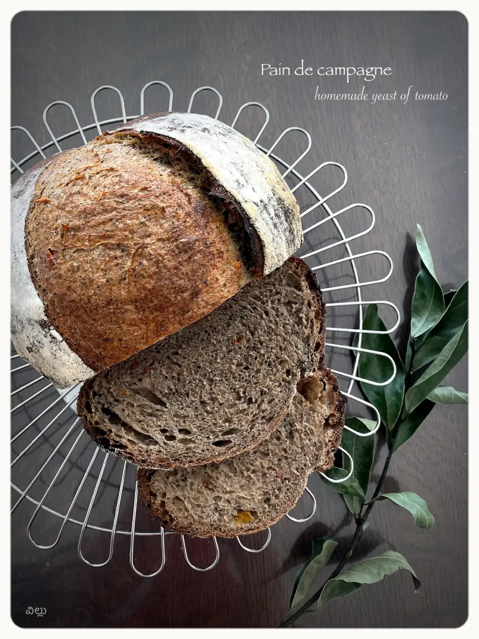 Snapdishの料理写真:pain de campagne|yucca@さん