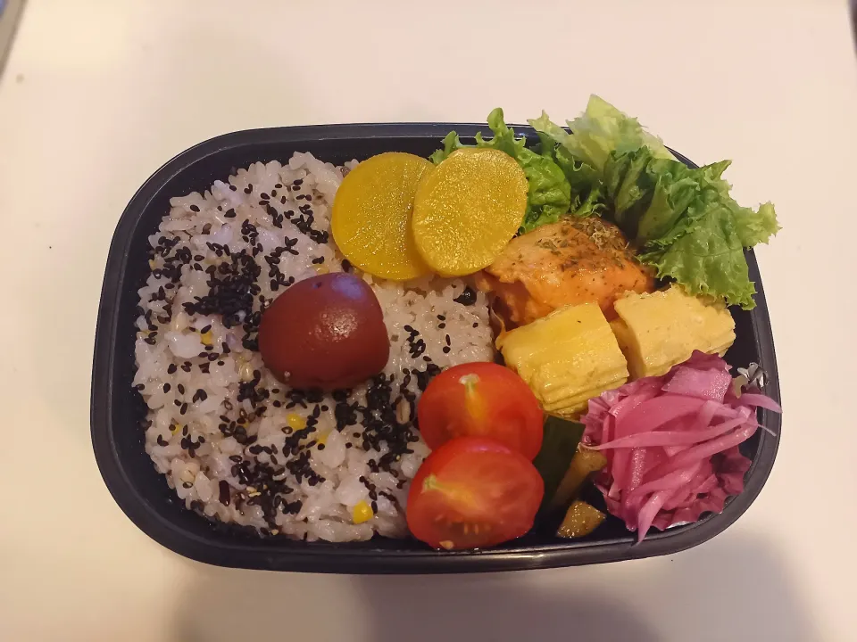 お弁当🍱|ティガさん