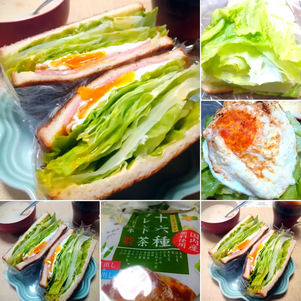 Snapdishの料理写真:レタスたっぷりサンドイッチ|うたかた。さん