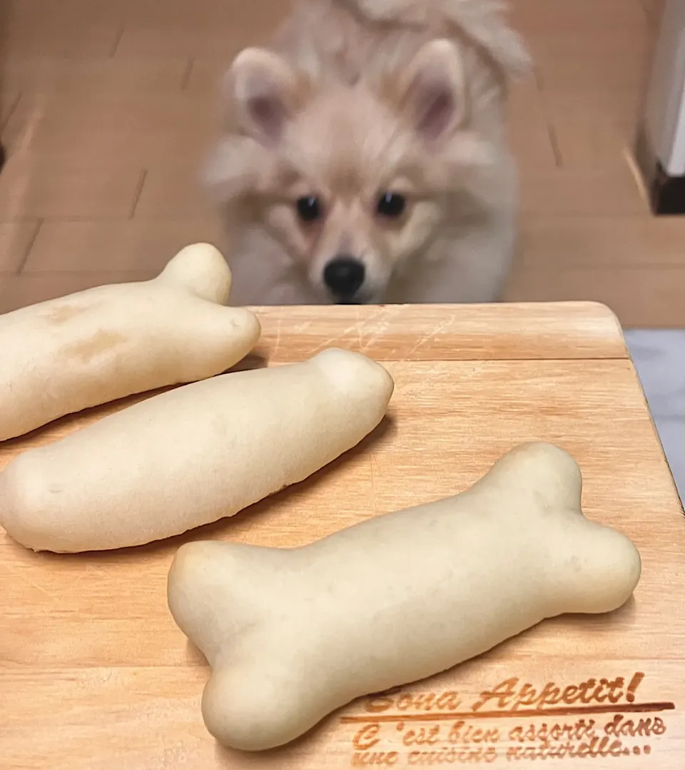 Snapdishの料理写真:ワンコも食べられるシンプルパン|marichさん