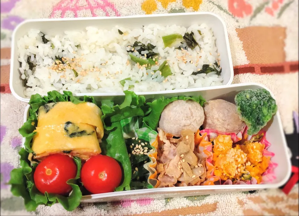 11月17日 今日のお弁当|ビアンカさん