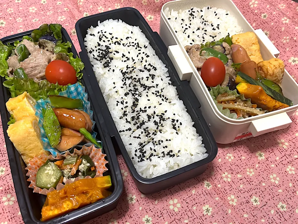 豚こまの味噌マヨ炒め弁当|ぐっちゃんさん