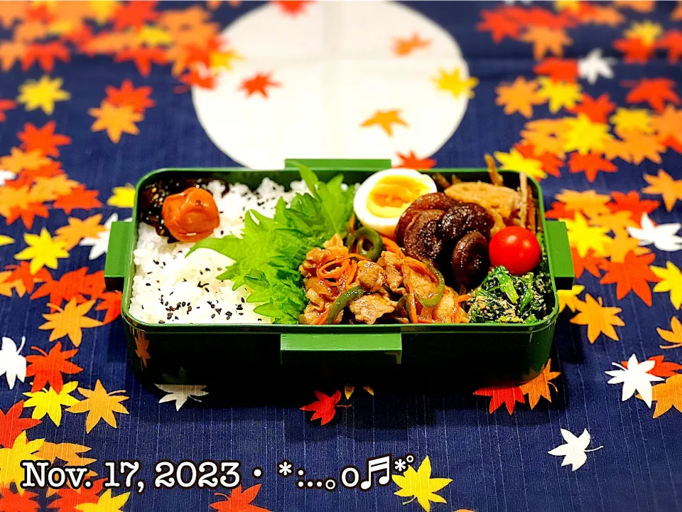 2023/11/17お弁当〜♡|いく❤️さん